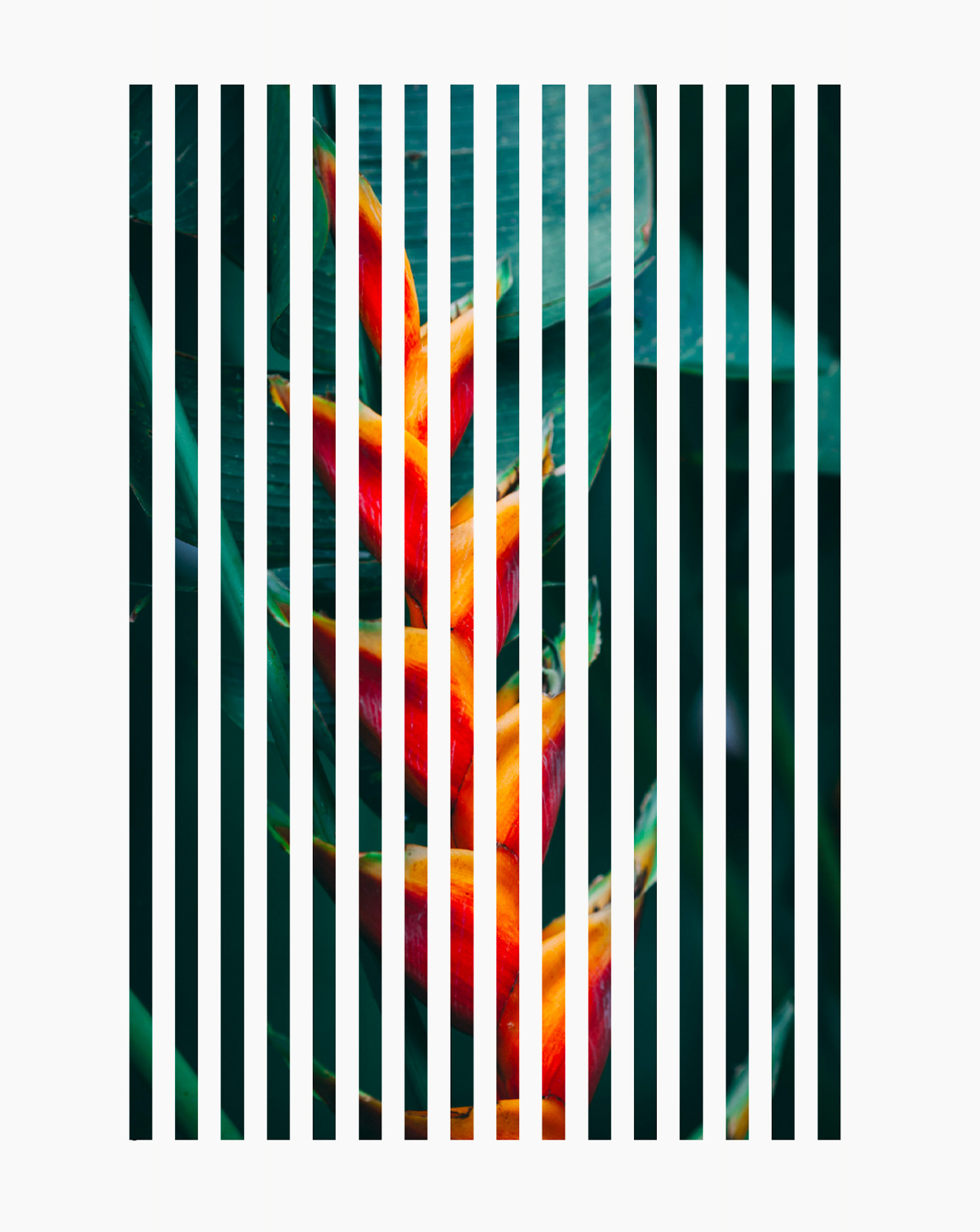 Maria Antonia Salvioni Portfolio